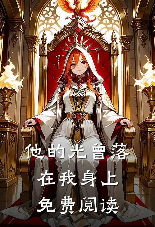 他的光曾落在我身上免费阅读