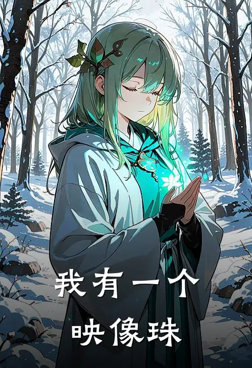 我有一个映像珠(张恒张海)热门网络小说_最新章节列表我有一个映像珠(张恒张海)