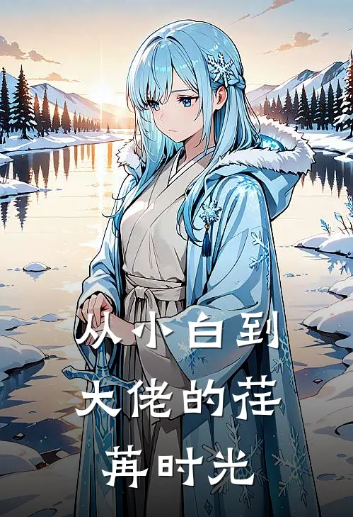 从小白到大佬的荏苒时光